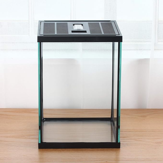 crapelles Black Small Vertical Insect GlassTerrarium, 7.8x7.8x10.8'' Reptile Tank, for Tarantula Larvae Caterpillar Frog Snail Spider Hermit Crab Habitat Container House Cricket Breeding Box-PawvioPets
