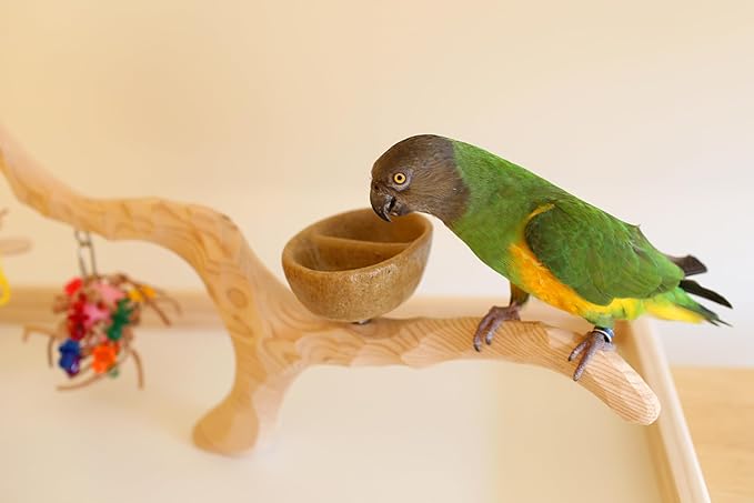 Deluxe Tabletop Perfect Tree (with Bowl) - Tree Stand for Parakeets and Small Parrots-PawvioPets