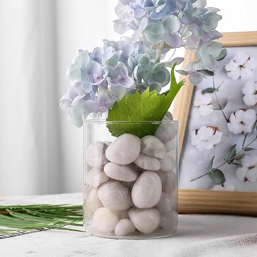 DomeStar 2.7lb White River Rocks, Polished Pebbles Decorative White Stones for Landscaping Vase Filler Fish Tank Aquariums Garden Outdoor and Indoor DIY-PawvioPets