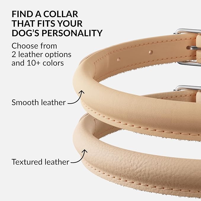 CollarDirect Rolled Leather Dog Collar, Soft Padded Round Puppy Collar, Handmade Genuine Leather Collar Dog Small Large Cat Collars 13 Colors (15-19 Inch, Beige Smooth)-PawvioPets
