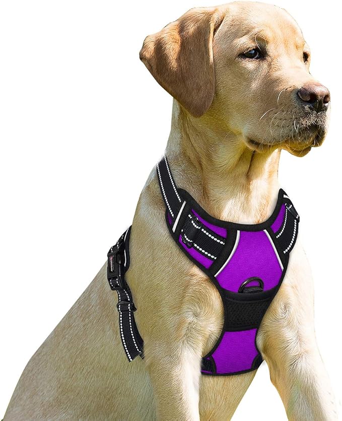 BARKBAY No Pull Dog Harness Front Clip Heavy Duty Reflective Easy Control Handle for Large Dog Walking(Purple,L)-PawvioPets