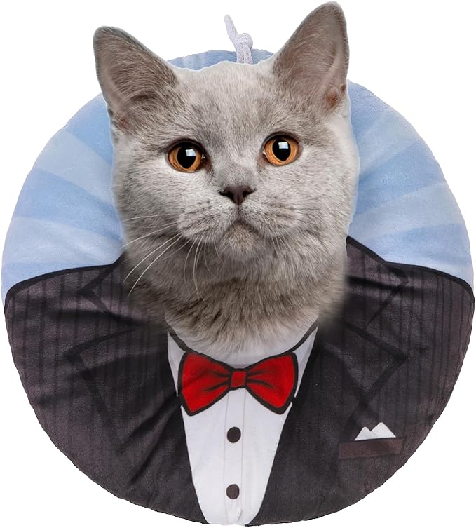 BEAUTYZOO Cat Cone Collar Soft, Cat Recovery E Collars After Surgery to Stop Licking, Adjustable Elizabeth Circle Collar Cute Pet Donut Pillow for Cats Kitten Puppy Small Dogs, Black Suit M-PawvioPets