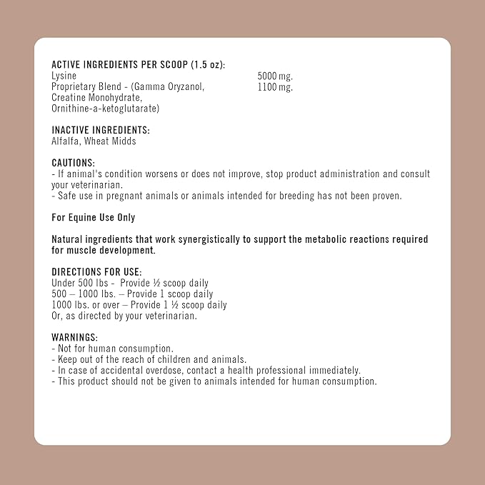 Formula 707 MuscleMx Equine Supplement, 10 lb Bag – Conditioning Support and Muscle Builder for Horses with Lysine, Gamma Oryzanol, Creatine & OKG-PawvioPets