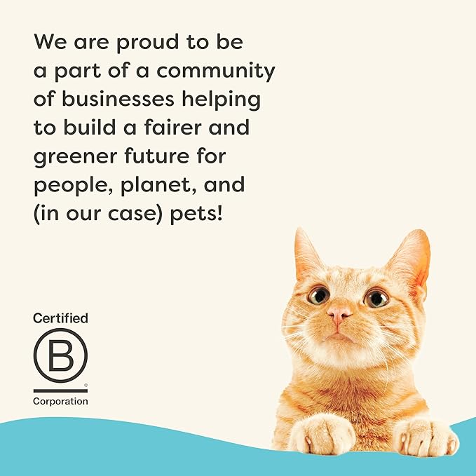 Applaws Vitality Wet Cat Food in Broth, Natural Canned Cat Food, Wet Food for Cats with Added Vitamins and Minerals, Grain Free, Carrageenan Free, Tuna Fillet in Broth (24 Count, 2.47 oz Cans)-PawvioPets