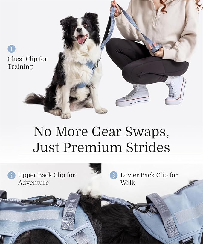 2025 New Edition, Fei & Eve MagEase Dog Harness - 3-Second Magnetic Buckles | 3-Point No-Pull Control | Heavy-Duty 900D Nylon | Dual Safety Handles | Breathable Mesh | Adjustable Fit |Small, Blue-PawvioPets