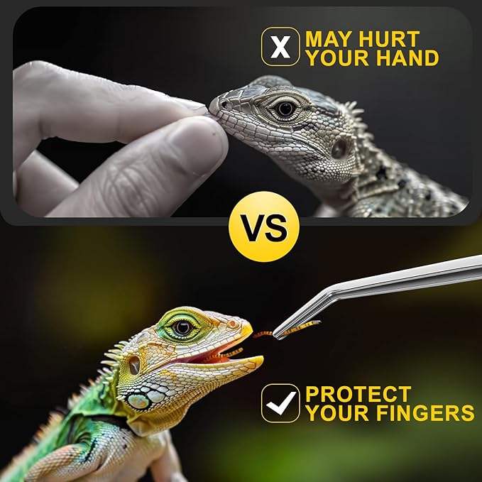 2pcs Reptile Feeding Tongs, Feeding Spoon, Stainless Steel Aquarium Feeding Tools, Curved Long Tweezers 10.6 in, Long Spoon 10 in (Coffee Spoon) for Feeding Lizards, Bearded Dragons and More.-PawvioPets