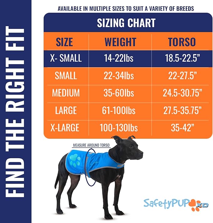Dog Reflective Vest – Hi-Vis Fluorescent Visibility That Helps to Safeguard Your Pet On/Off Leash in Urban & Rural Areas (Blue, X-Small)-PawvioPets