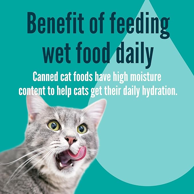 A Strong Heart Canned Wet Cat Food, Chicken Dinner Paté - 3 oz Cans (Pack of 24), Made in The USA with Real Chicken-PawvioPets