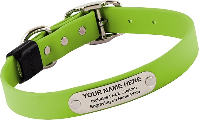 Biothane Custom Dog Collar – Waterproof, Stink-Proof Personalized Collar with Name & Phone Number – Durable, Many Sizes and Colors – Assembled in USA (Green Apple)-PawvioPets