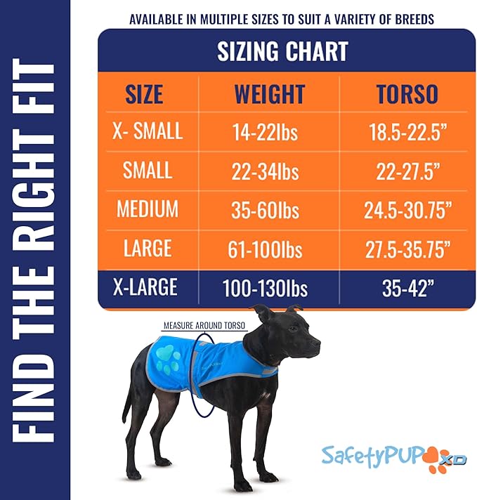 Dog Reflective Vest – Hi-Vis Fluorescent Visibility That Helps to Safeguard Your Pet On/Off Leash in Urban & Rural Areas (Blue, X-Large)-PawvioPets