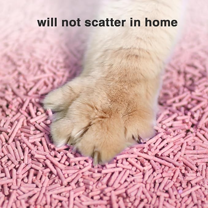 Cat Litter 12LB/2 Packs Dust-Free Clumping Tofu Cat Litter Quickly Absorb Odors Toilet Can Flush Into The Toilet Pure Natural tofu cat Litter (Peach)-PawvioPets