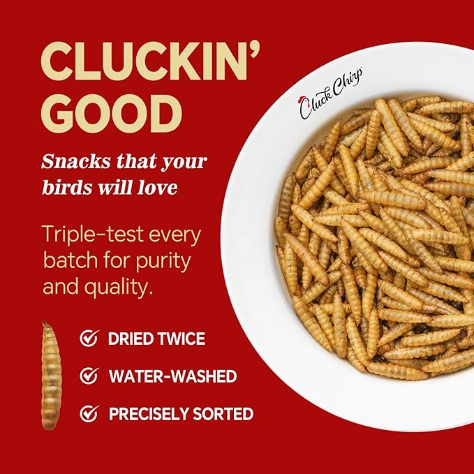 Dried Black Soldier Fly Larvae, Non-GMO, Natural Chicken Treats & High-Protein Poultry Snacks for Backyard Chickens, Laying Hens & Ducks, 10 lb Box-PawvioPets