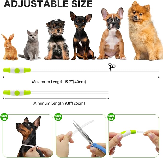 BSEEN Light Up Dog Collar - Rainproof Rechargeable LED Dog Collar - TPU Cuttable Glowing Pet Collar for Small Dogs& Cats - Puppy Safety Dog Lights for Night Walking (XS- Green 40cm)-PawvioPets