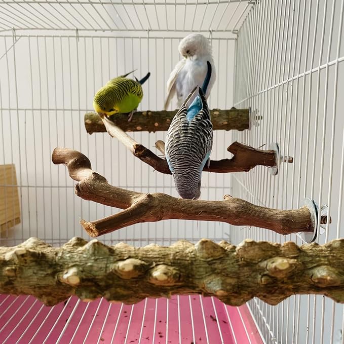 Allazone 5 PCS Natural Wooden Parrot Stand Bird Perch Stand Grape Stick Hanging Multi Branch Perch for Parrots, Bird Cage Accessories-PawvioPets