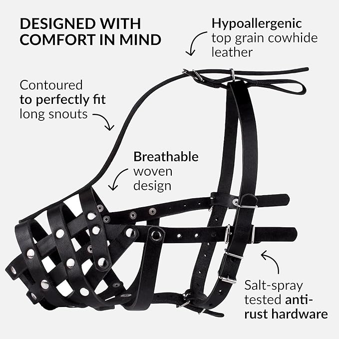 CollarDirect Dog Muzzle German Shepherd Dalmatian Doberman Setter Leather Basket Medium Large Breeds (Black, Large)-PawvioPets