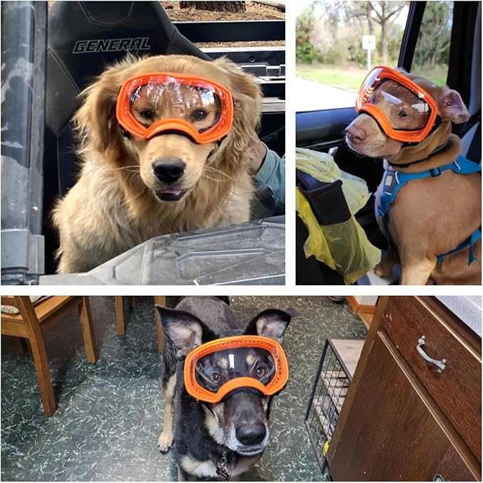 Dog Sunglasses UV Protection Clear Dog Goggles Windproof Glasses with Elastic Straps for Medium-Large Breed, Orange Frame + Clear Lens-PawvioPets