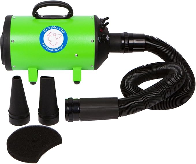 Flying Pig High Velocity Dog Pet Grooming Dryer w/Heater (Model: Flying One, Green)-PawvioPets