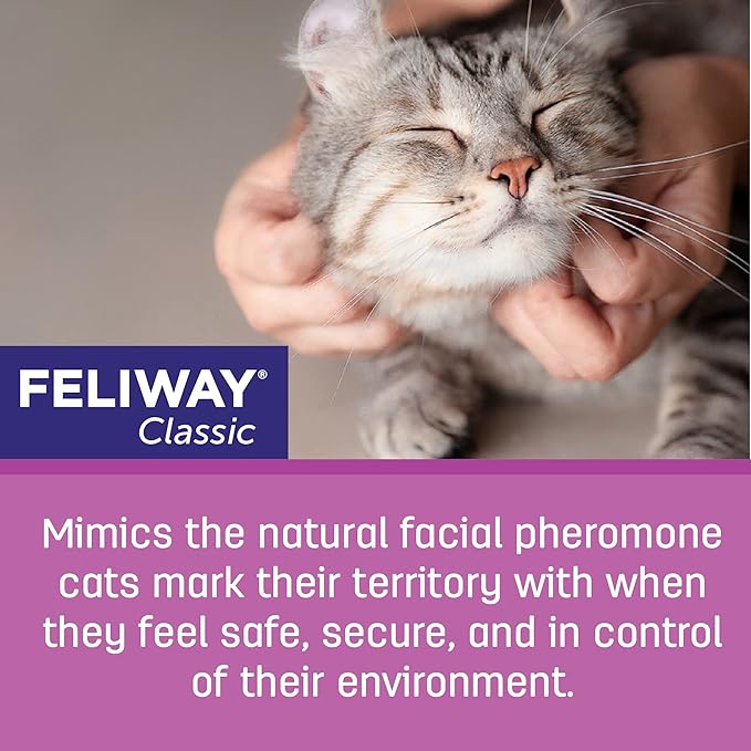 FELIWAY® Classic 3 x 30 Day Cat Calming Refills for Pheromone Diffuser, 3 x 48ml Value Pack - Helps Reduce Common Signs of Stress in Cats & Kittens, Enhanced Calming-PawvioPets