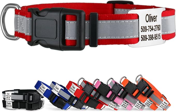 GoTags Reflective Personalized Dog Collar with Nameplate, Adjustable Dog Collar with Custom Engraved Steel Slide On Pet ID Tag, Silent, No Noise Dog Tag for Large Medium or Small (Red, Large)-PawvioPets
