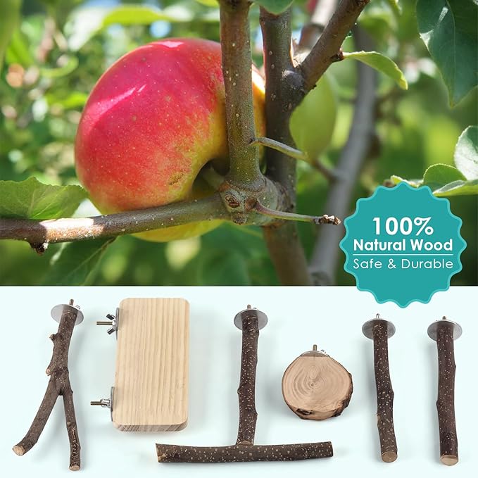 Bird Perches, 6 Pcs Natural Wood Parrot Perch Stand Chew Toys, Hanging Multi-Branch Parrot Perch Platform Swing Toy Cage Accessories for Small Parakeets, Budgies, Lovebirds, Canaries, Finches-PawvioPets