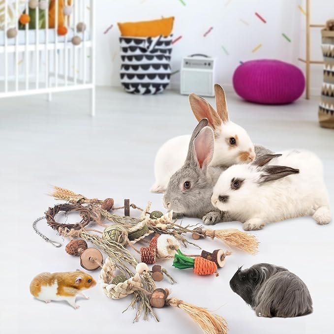 Bissap Bunny Chew Toy, Rabbits Cage Hanging Chew Toys and Treats Rattan Ring with Snacks Water Grass Wooden Block Carrot for Guinea Pigs Chinchillas Hamsters Rats and Other Small Pets Teeth Grinding-PawvioPets