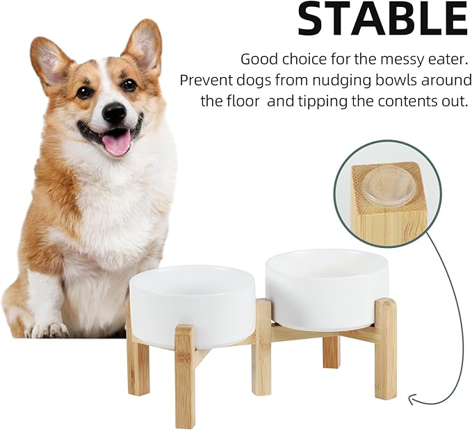 Ceramic Raised Double Bowls Set with Stand, 2 Heights Elevated, Food & Water Bowls for Small Breed Dogs, Weighted Dog Dishes, Pet Bowl(6.1'',28.7oz, White)-PawvioPets