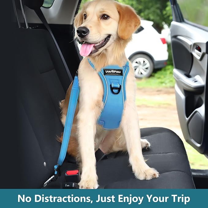 Dog Seat Belt Harness for Car, Dog Car Harness Adjustable Mesh Breathable & Dogs Seatbelt Safety Tether with Elastic Bungee for Small Medium Large Pets(Blue, M)-PawvioPets
