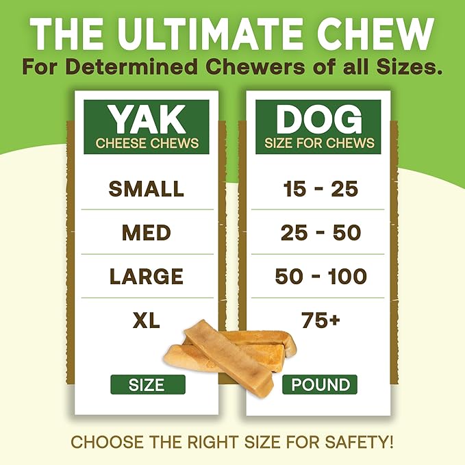 EcoKind Himalayan Gold Yak Cheese Chew for Small Dogs, Healthy Treats, Odorless, Long Lasting Bones, Rawhide Free, Made in The Himalayans, Small (Pack of 4)-PawvioPets