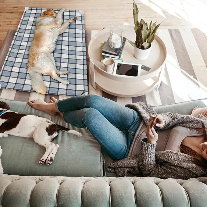 Elevated Outdoor Raised Dog Bed Outdoor Dogs Bed Lifted Pet Hammock Bed Dog Cot for Large Pet Taste Life, Start with A Pet Bed 39'' x 27'' x 6.5''-PawvioPets