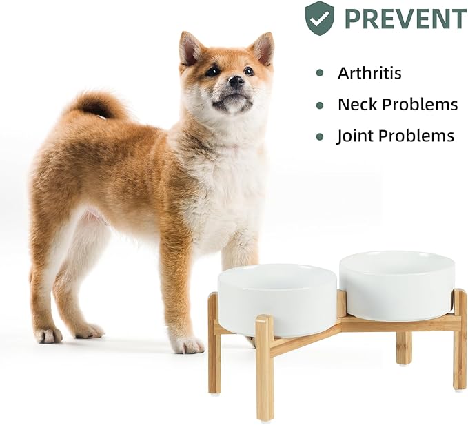Ceramic Raised Double Bowls Set with Stand, Food & Water Bowls for Medium Breed Dogs, Weighted Dog Dishes, Pet Bowl(7.3'',41OZ, White)-PawvioPets
