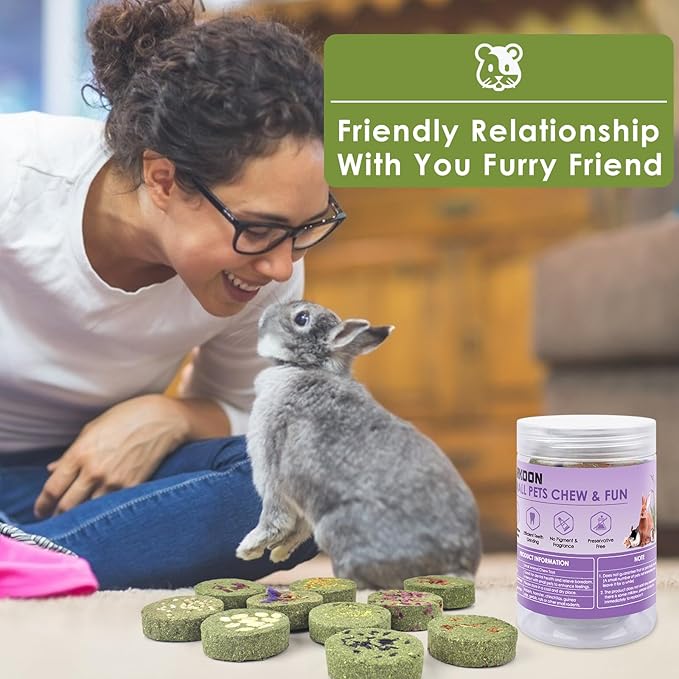 ERKOON Treats Rabbit Toys, 100% Edible Premium Timothy Hay Chew A Blocks for Rabbits, Chinchilla Treats, Chew Toys for Teeth Guinea Pigs and Mice-PawvioPets