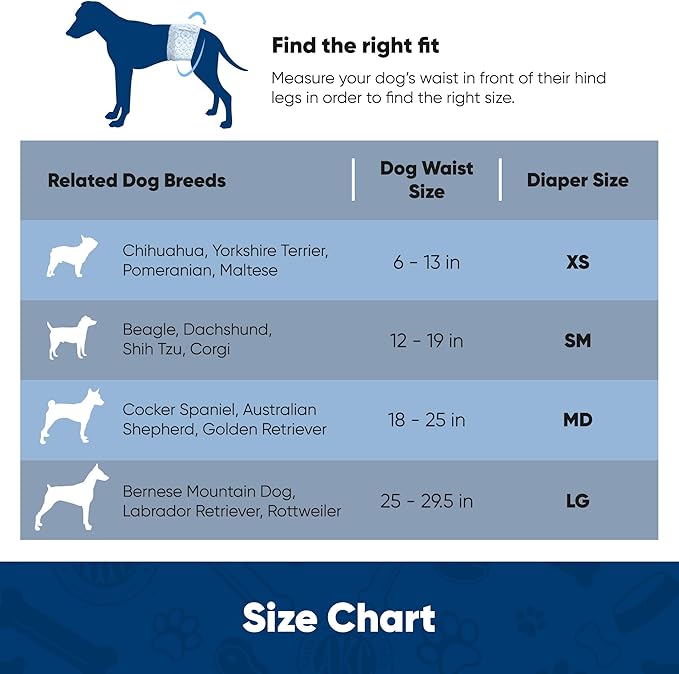 American Kennel Club Male Dog Wrap, Disposable Diapers with Wetness Indicator, X-Small, 50 Count-PawvioPets