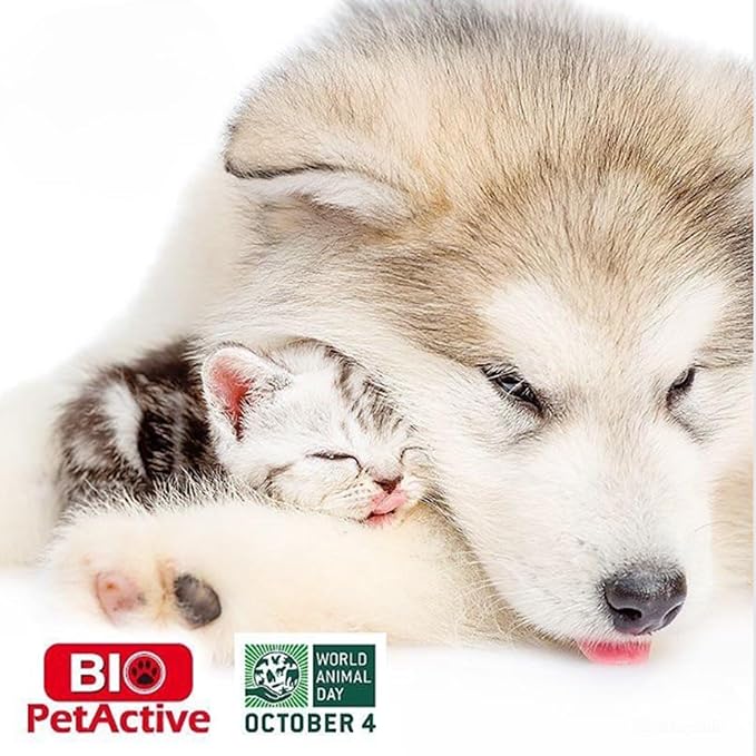 Bio Pet Active Kitten Milk Replacer - Easy-to-Digest Milk Powder with Vitamins, Minerals and Taurine for Kittens and Mothers, 7.05 oz-PawvioPets