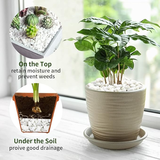 2 lbs White Gravel, 3/8 Inch White Pebbles for Indoor Plants. White Stones for Succulents, Planters, Vase and Outdoor Garden Landscaping-PawvioPets