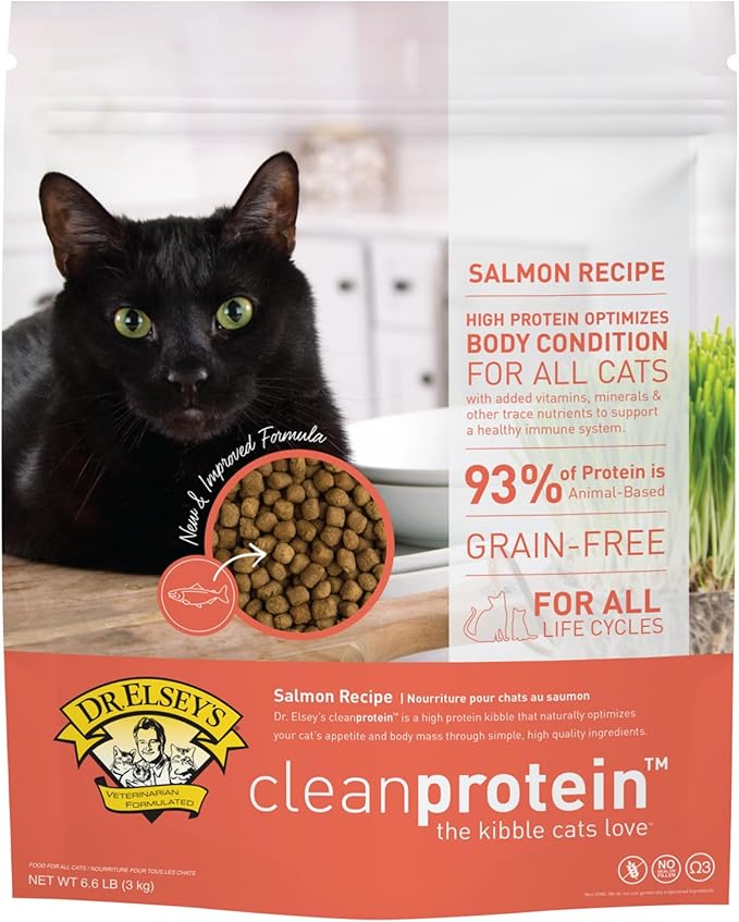 Dr. Elsey's Cleanprotein Salmon Formula Dry Cat Food, 6.6 Lb-PawvioPets