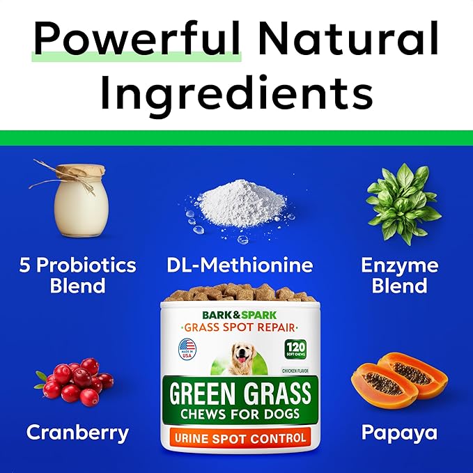 BARK&SPARK Green Grass Chews - Pee Grass Spot Saver Caused by Dog Urine - Urine Neutralizer for Lawn, Gut Health Probiotics & Digestive Enzymes,Lawn Burn from Dog Urine, Grass Burn Spot Chews, Rocks-PawvioPets