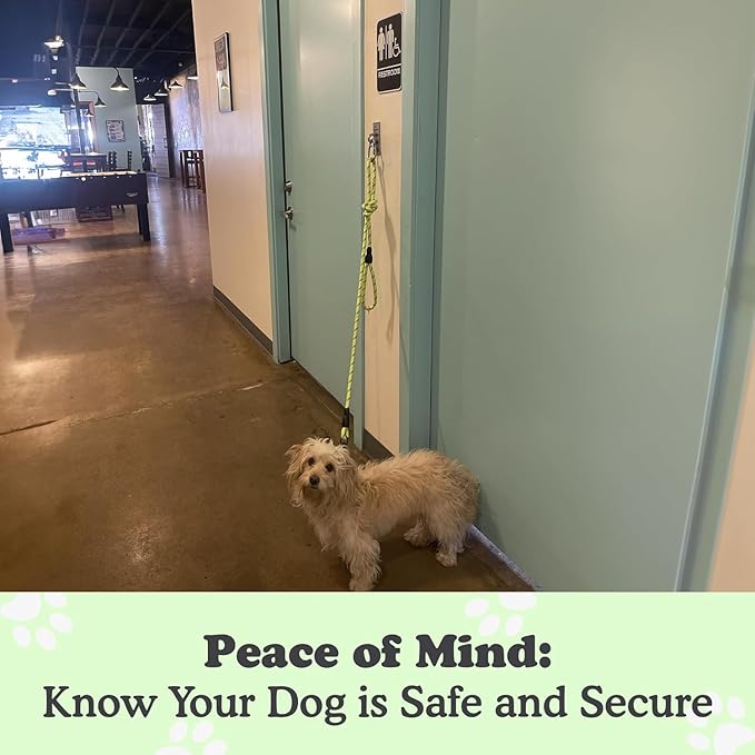 Canine Hitch- Secure Dog Leash Parking Wall Slim Hook with Clip 2 Pack - Tie Out Stainless Steel & ABS Mounting Plate for Strength - Practical Lead Management for Home & Business-PawvioPets