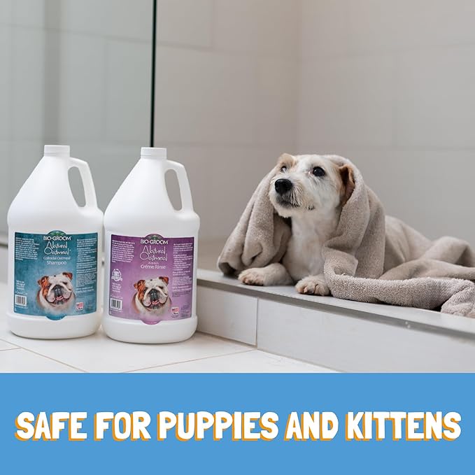 Bio-Groom Oatmeal Dog Shampoo-for Allergies and Itching, Cruelty-Free, Dog Bathing Supplies, Puppy Shampoo for Sensitive Skin, Made in USA, Anti-Itch Dog Products-2.5 Gallons-PawvioPets