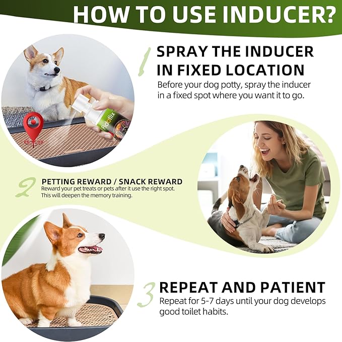 Dog Potty Training Spray for Dogs and Puppies - Go Here Attractant Spray to Pee and Poop in One Spot,Safe & Effective Puppy Pee Spray Indoor & Outdoor-Dog Training & Housebreaking Aid -100ml-PawvioPets