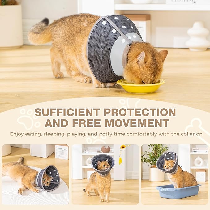 Avont Cat Cone Collar Soft to Stop Licking, Adjustable Foldable Lightweight Kitten Recovery Collar After Surgery for Small Dogs, Elizabeth Cone of Shame Alternative -Darkgrey(M)-PawvioPets