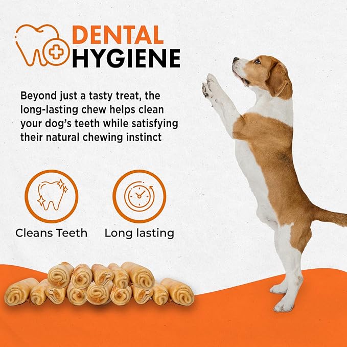 Canine Naturals Chicken Recipe Chew - Rawhide Free Dog Treats - Made from USA Raised Chicken - All-Natural and Easily Digestible - Large (2 Count) for Dogs 50-75Lb-PawvioPets