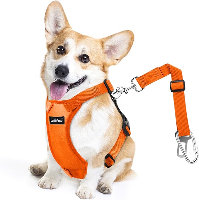 Dog Seat Belt, Safety Vest Dog Car Harness with Adjustable Buckle Dog Seat Belt for Vehicle Nylon Pet Safety Seat Belts Heavy Duty(S, Orange)-PawvioPets