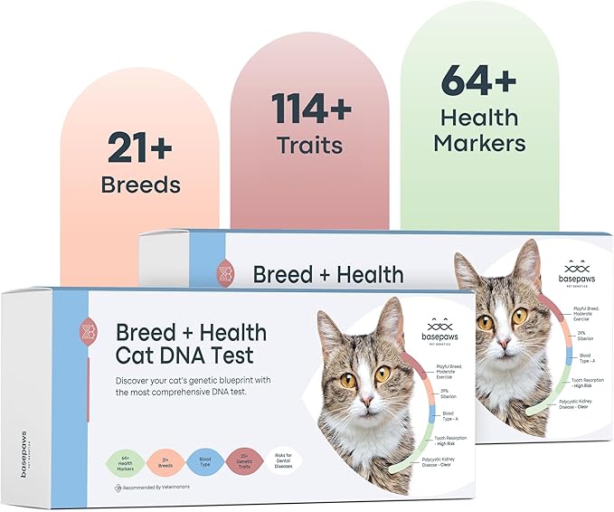 Basepaws Cat DNA Test Kit 2 Pack- Comprehensive Breed, Health and Dental Analysis Across 114 Traits for Accurate and Easy-to-Use Genetic Insights-PawvioPets