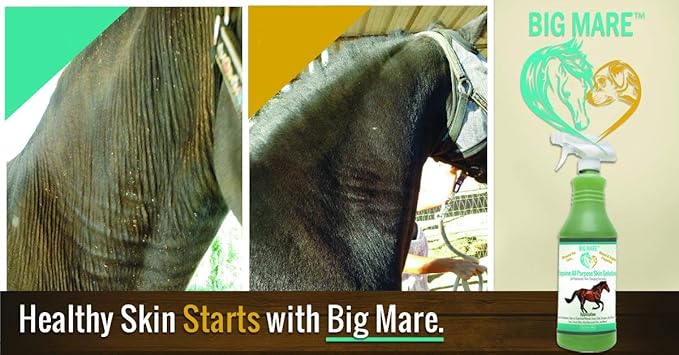 All Purpose Horse Skin & Wound Care 32oz | First Aid: for Girth Itch, Insect & Fly Bites, Crud, Itchy Manes & Tails & Hair Loss | Vet Approved & Recommended-PawvioPets