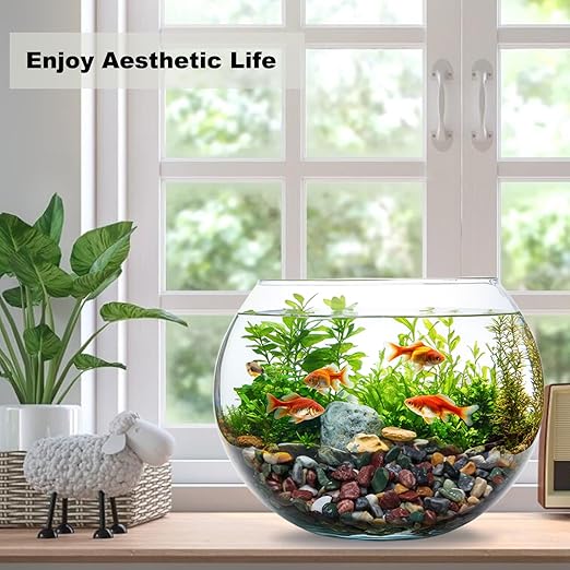 45LB Succulents Rocks for Plants Cactus Gravel Pebbles for Fish Tank 1/2 Inch Natural River Rocks for Vase, Aquarium, Landscaping,Bonsai,Terrarium Pebbles, Mixed Color-PawvioPets