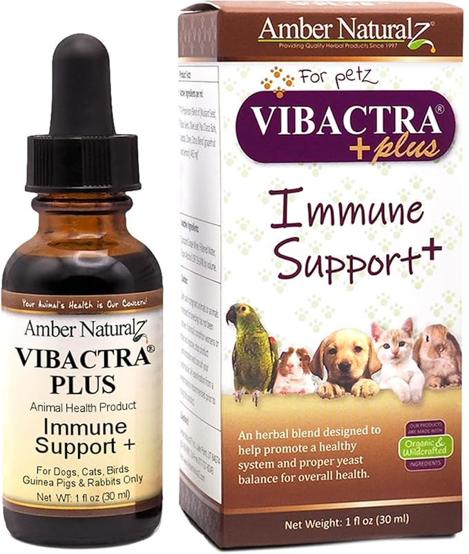 Amber NaturalZ Vibactra Plus Herbal Supplement for Dogs, Cats, Birds, Guinea Pigs, and Rabbits | Herbs for Immune Health and Yeast Balance | 1 Fluid Ounce Glass Bottle-PawvioPets