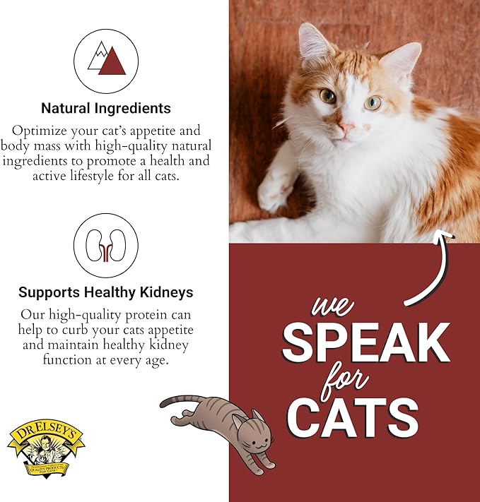 Dr. Elsey's cleanprotein Salmon Recipe Wet Cat Food, Pate 5.3 oz cans (Pack of 24)-PawvioPets