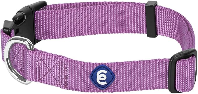 Blueberry Pet Essentials Matching Medium Dog Collar | Adjustable Classic Solid Color Nylon Dog Collars for Medium Dogs | Purple Dog Collar for Medium Dogs-PawvioPets