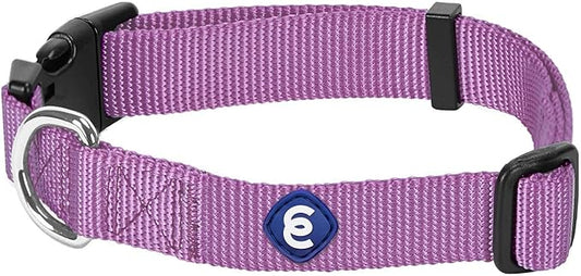 Blueberry Pet Essentials Matching Small Dog Collar | Adjustable Classic Solid Color Nylon Dog Collars for Small Dogs | Purple Dog Collar for Small Dogs-PawvioPets