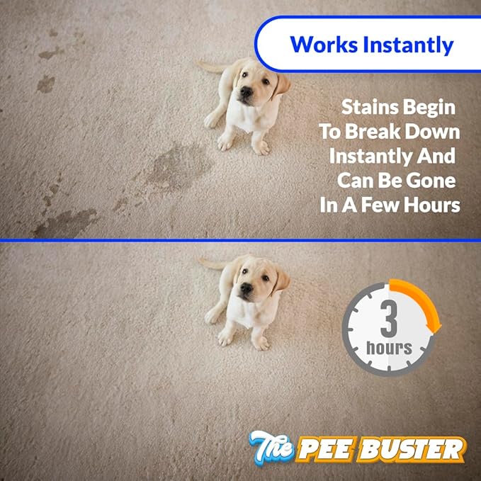 Generic Peebuster Pet Stain & Odor Remover - Cleaning Spray for Dog and Cat Urine, 1 Count (Pack of 1)-PawvioPets